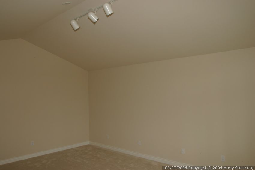 Lights, outlets and carpeting in bonus room.
